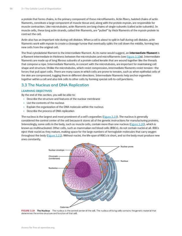 Anatomy and Physiology 2e - New Page
