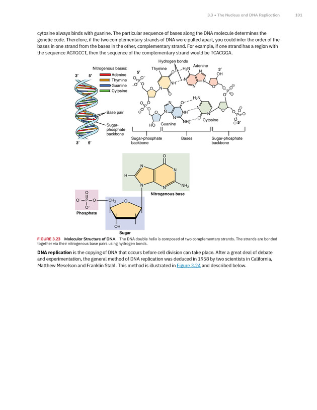 Anatomy and Physiology 2e - New Page