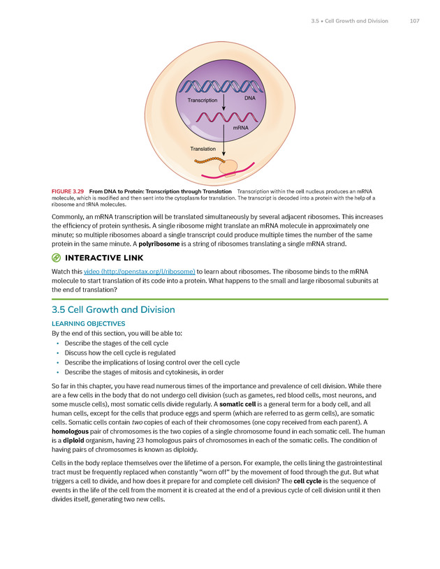Anatomy and Physiology 2e - New Page