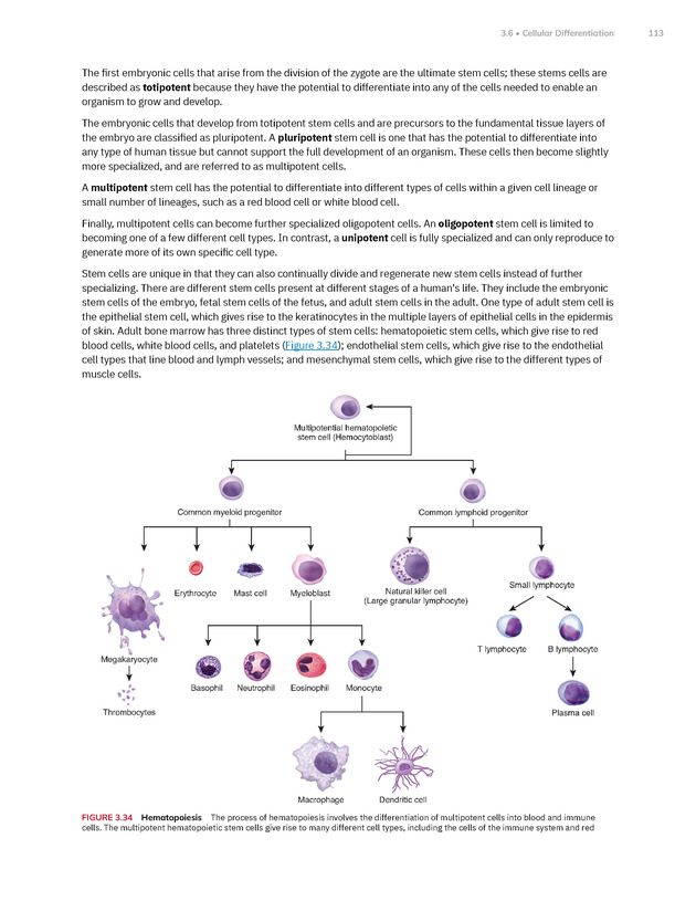 Anatomy and Physiology 2e - New Page