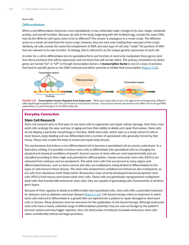 Anatomy and Physiology 2e - New Page