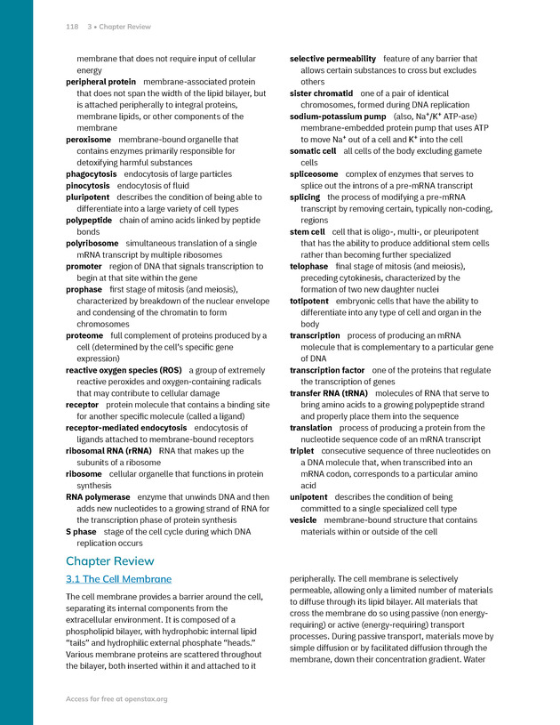 Anatomy and Physiology 2e - New Page