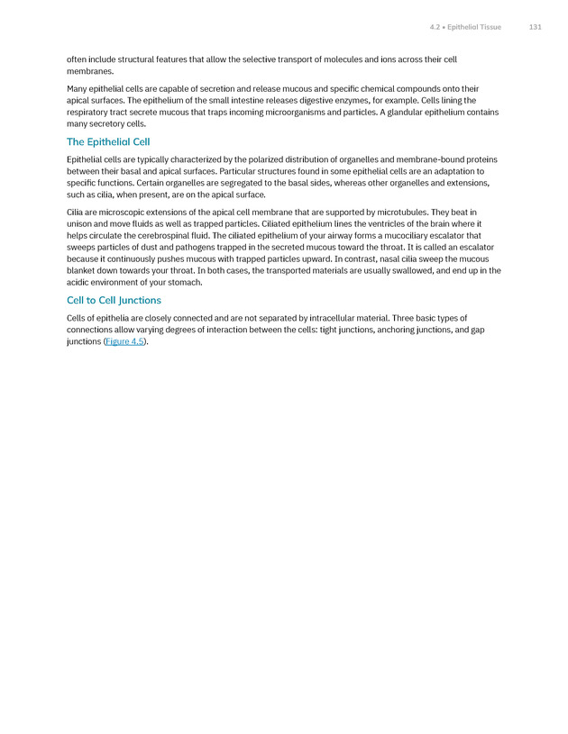 Anatomy and Physiology 2e - New Page