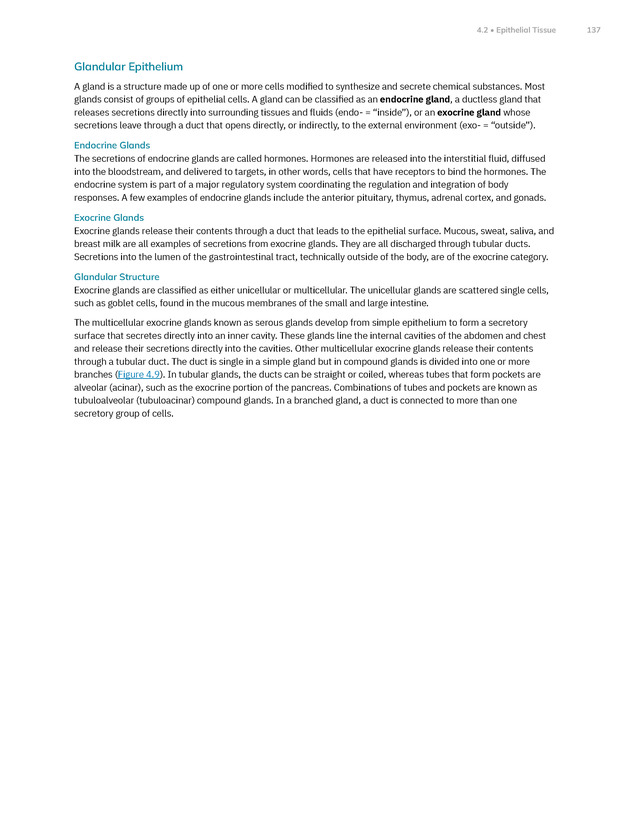 Anatomy and Physiology 2e - New Page