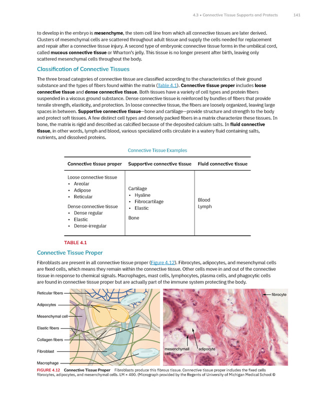 Anatomy and Physiology 2e - New Page