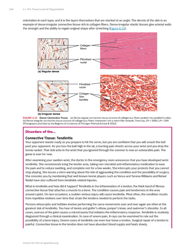 Anatomy and Physiology 2e - New Page