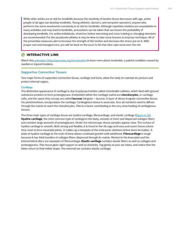 Anatomy and Physiology 2e - New Page