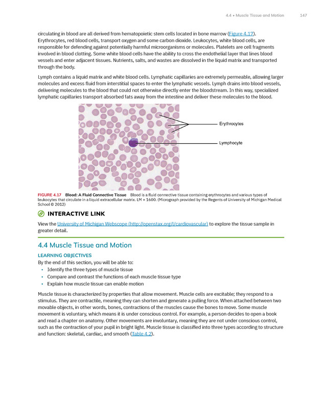 Anatomy and Physiology 2e - New Page