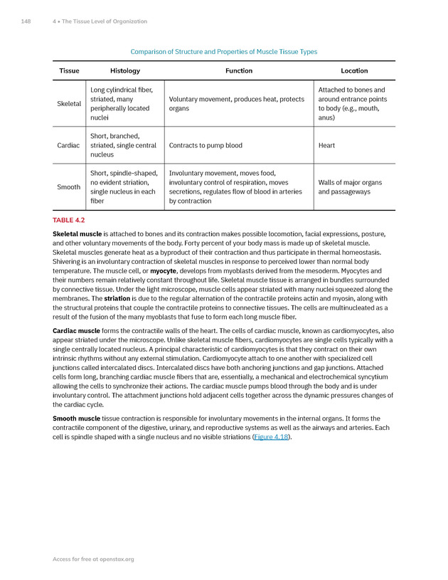 Anatomy and Physiology 2e - New Page