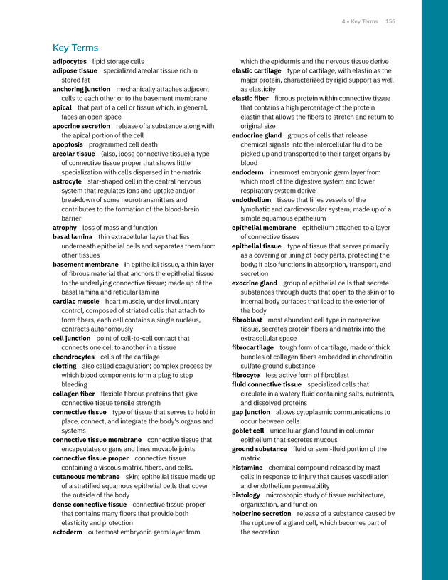 Anatomy and Physiology 2e - New Page