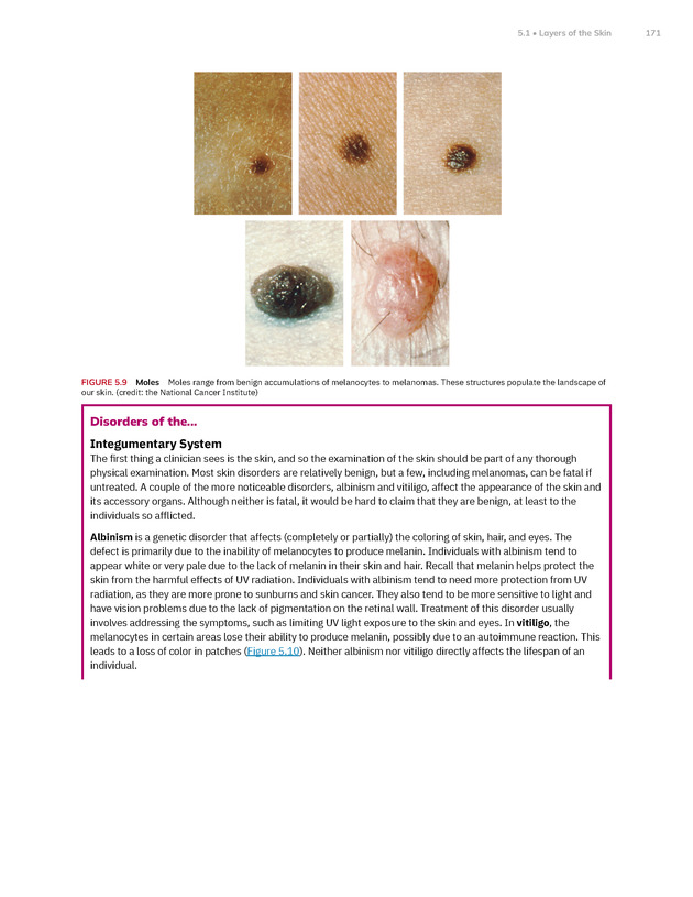 Anatomy and Physiology 2e - New Page