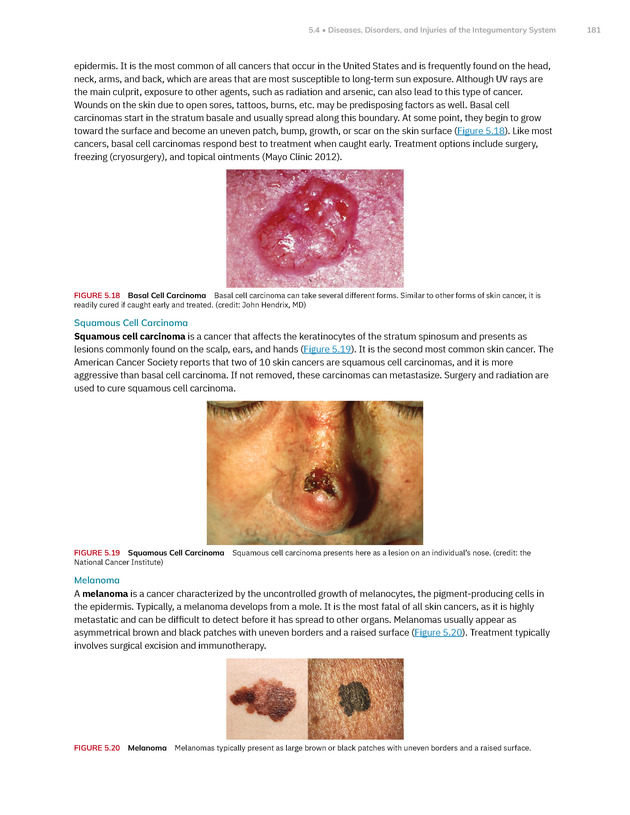 Anatomy and Physiology 2e - New Page