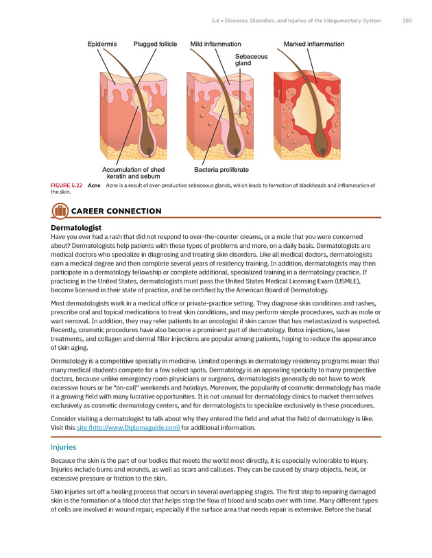Anatomy and Physiology 2e - New Page