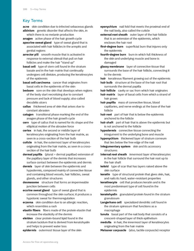 Anatomy and Physiology 2e - New Page