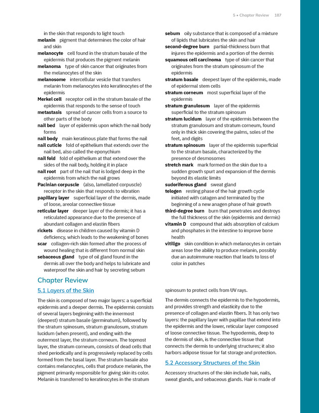 Anatomy and Physiology 2e - New Page