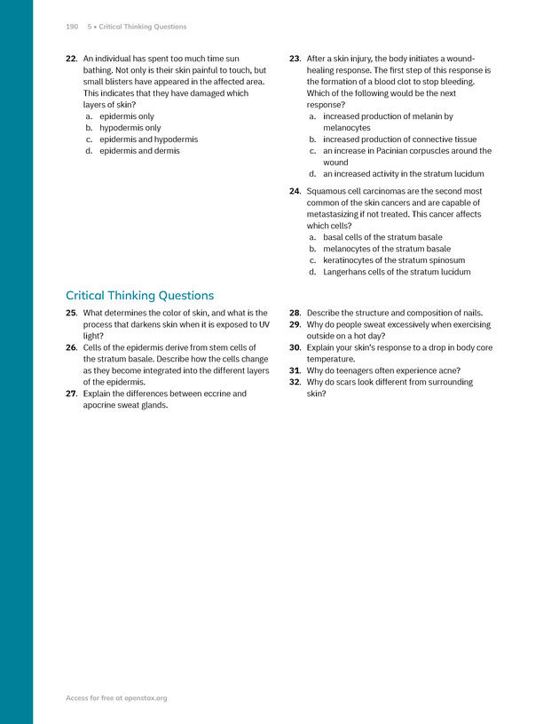 Anatomy and Physiology 2e - New Page