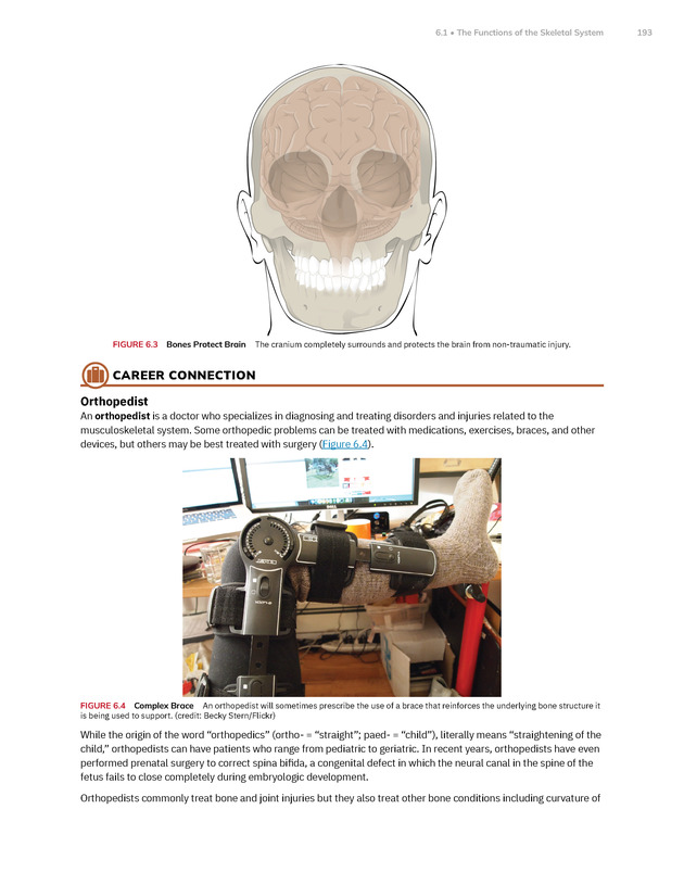 Anatomy and Physiology 2e - New Page