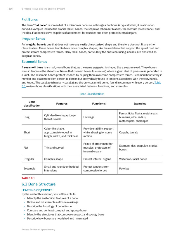 Anatomy and Physiology 2e - New Page