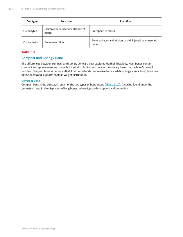 Anatomy and Physiology 2e - New Page