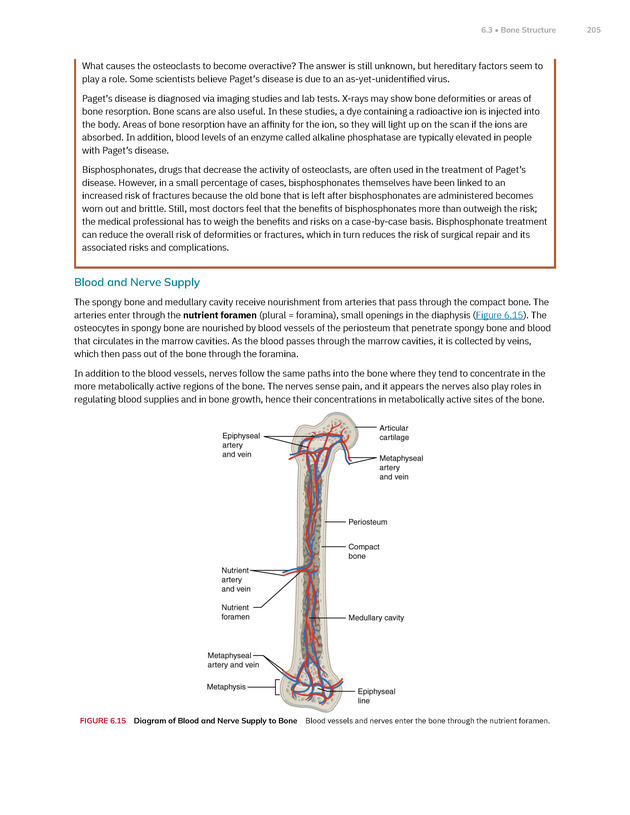 Anatomy and Physiology 2e - New Page