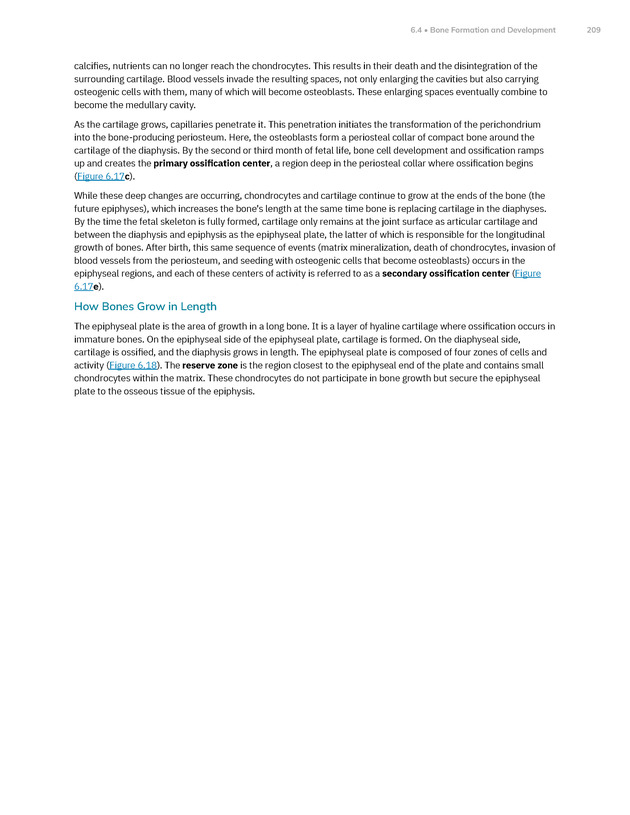 Anatomy and Physiology 2e - New Page