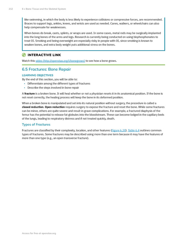 Anatomy and Physiology 2e - New Page