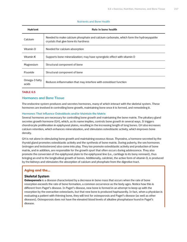 Anatomy and Physiology 2e - New Page