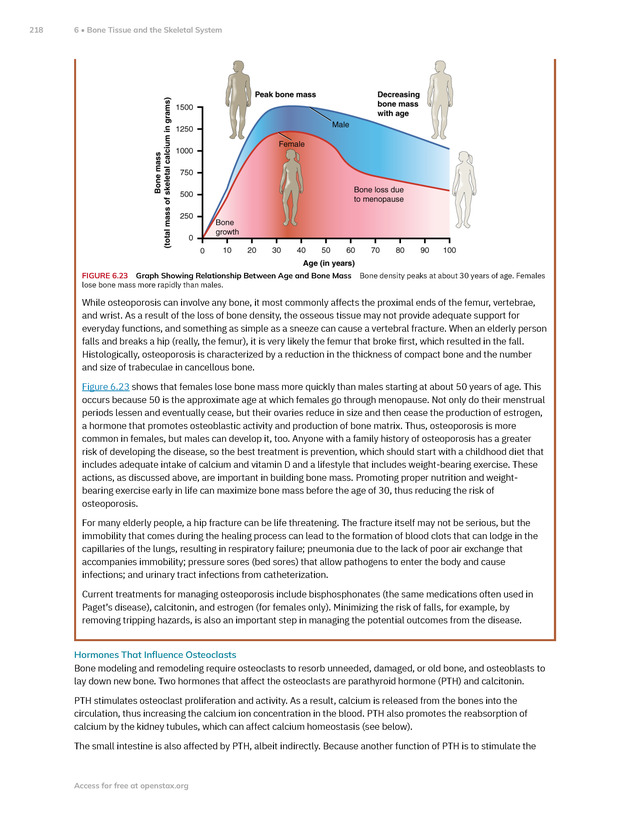 Anatomy and Physiology 2e - New Page
