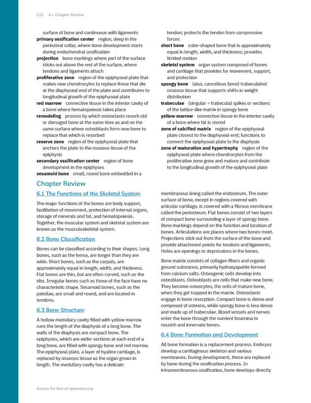 Anatomy and Physiology 2e - New Page