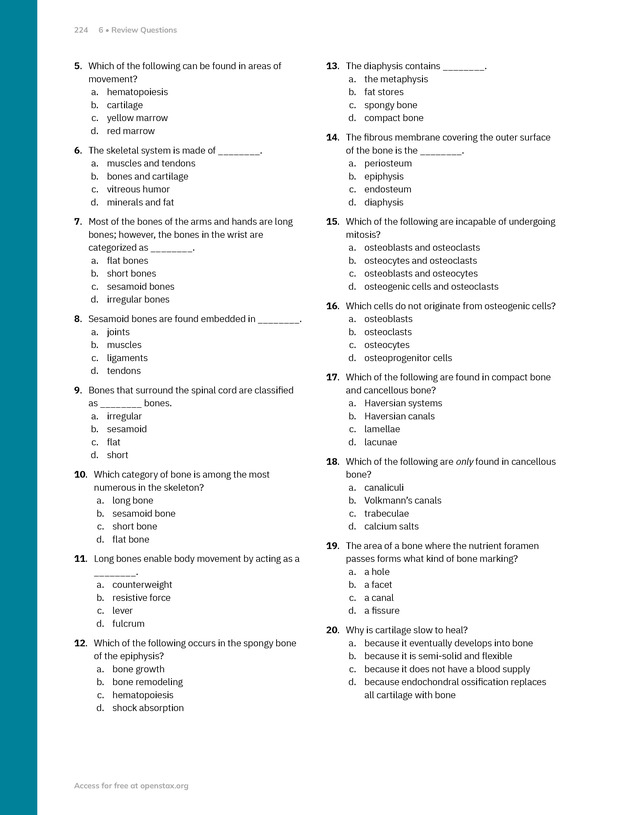Anatomy and Physiology 2e - New Page