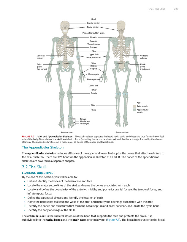 Anatomy and Physiology 2e - New Page