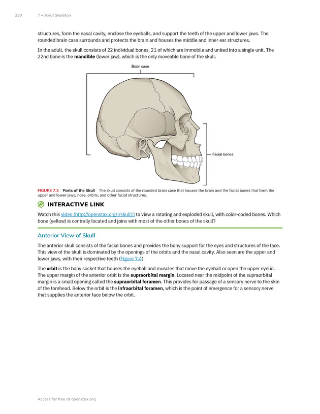 Anatomy and Physiology 2e - New Page