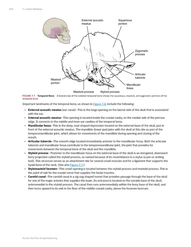 Anatomy and Physiology 2e - New Page