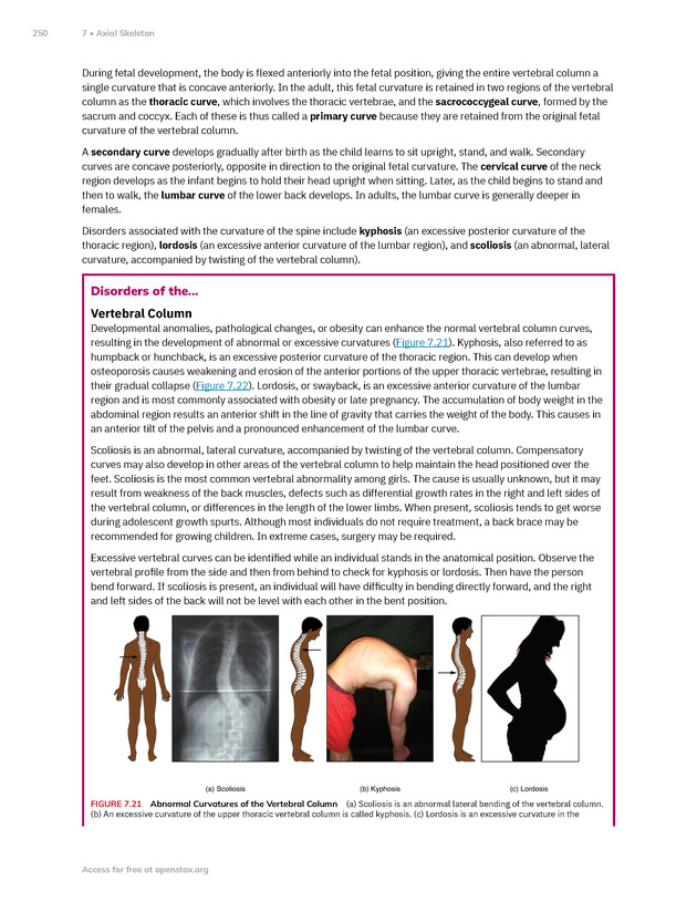 Anatomy and Physiology 2e - New Page