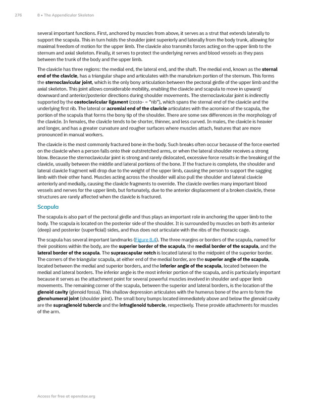 Anatomy and Physiology 2e - New Page