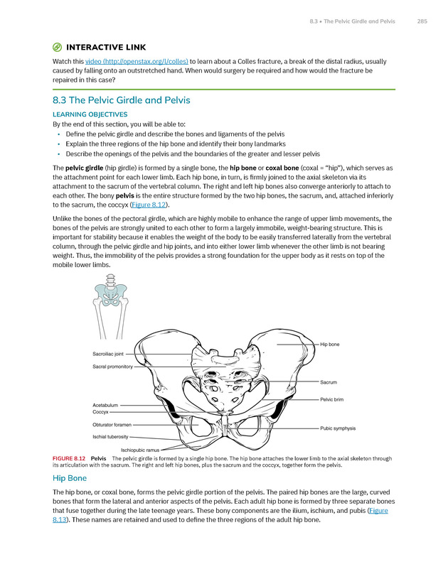 Anatomy and Physiology 2e - New Page