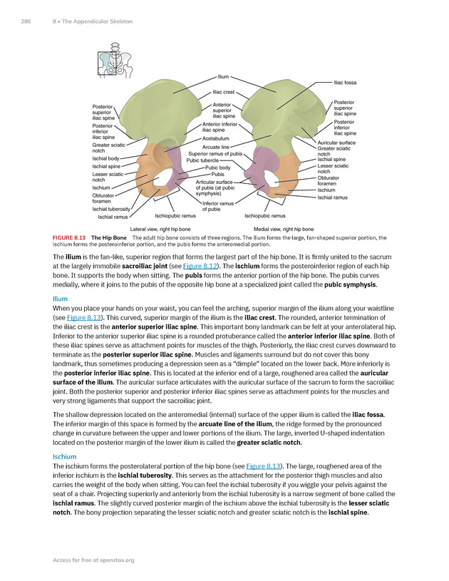 Anatomy and Physiology 2e - New Page