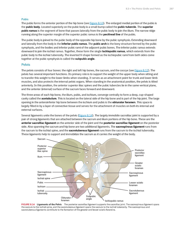 Anatomy and Physiology 2e - New Page