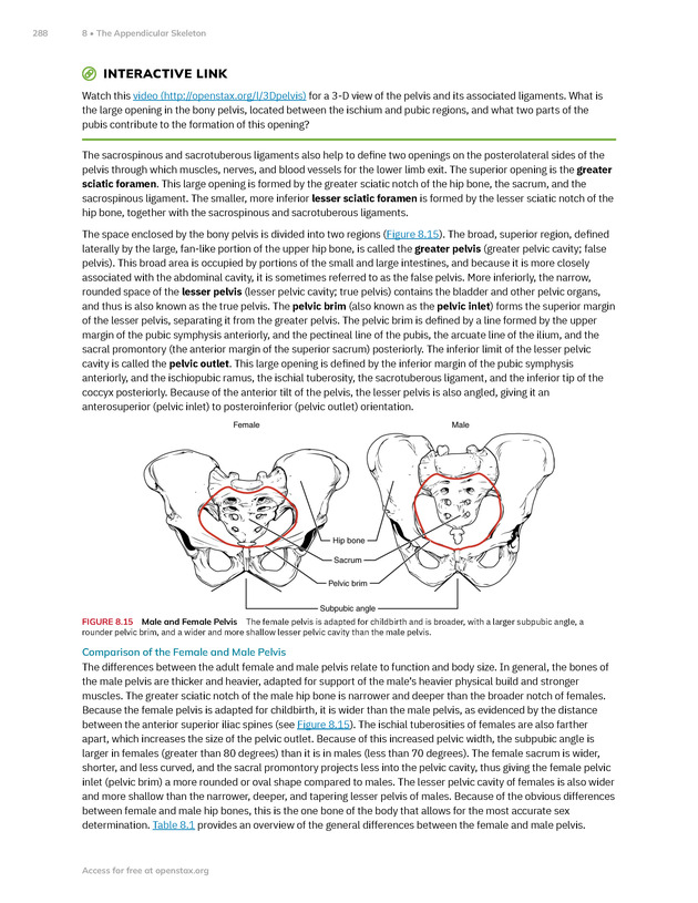 Anatomy and Physiology 2e - New Page