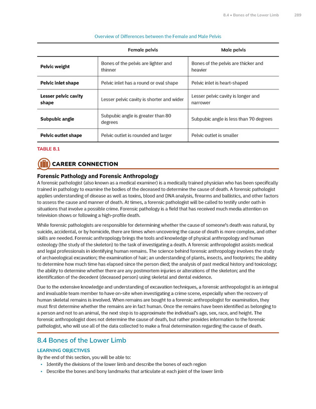 Anatomy and Physiology 2e - New Page