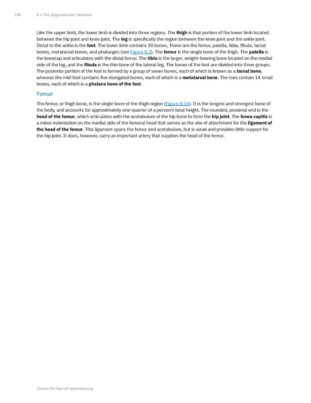 Anatomy and Physiology 2e - New Page