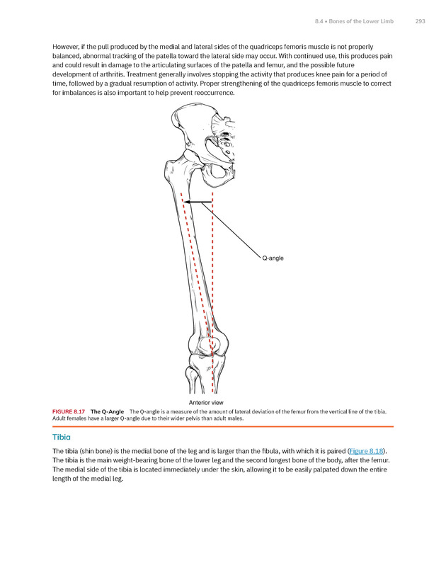 Anatomy and Physiology 2e - New Page