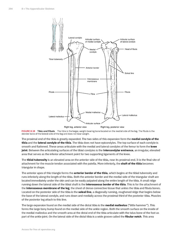 Anatomy and Physiology 2e - New Page
