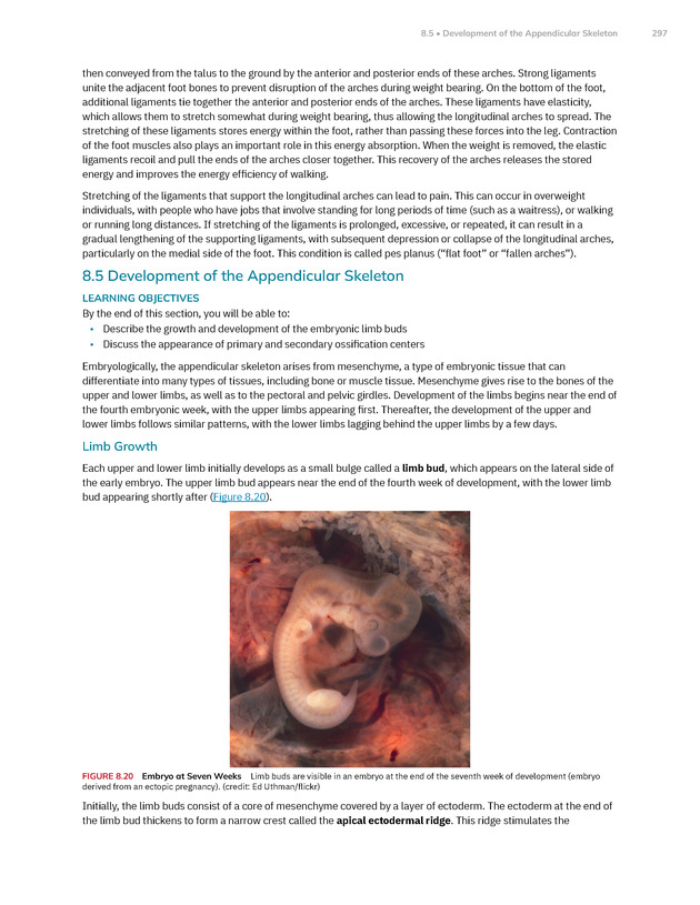 Anatomy and Physiology 2e - New Page