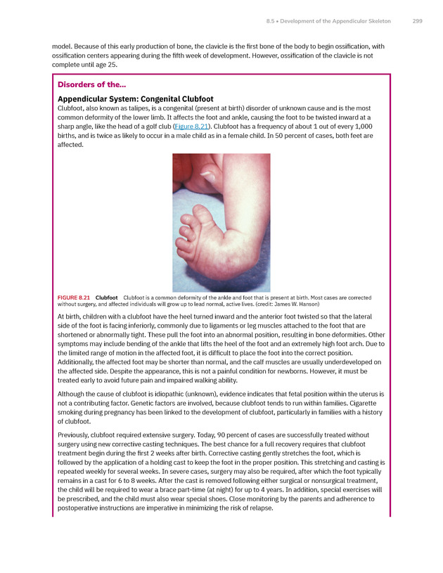 Anatomy and Physiology 2e - New Page