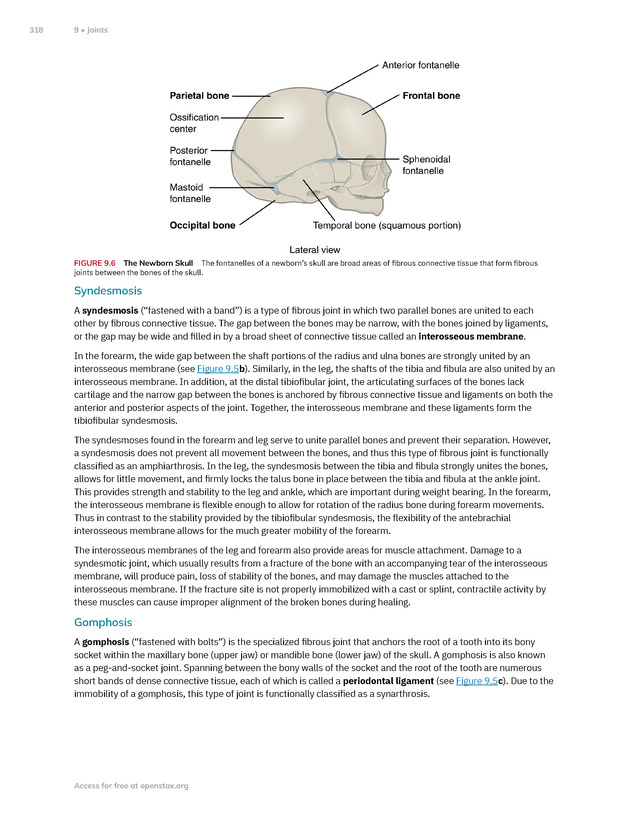 Anatomy and Physiology 2e - New Page