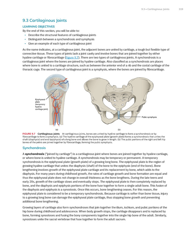 Anatomy and Physiology 2e - New Page