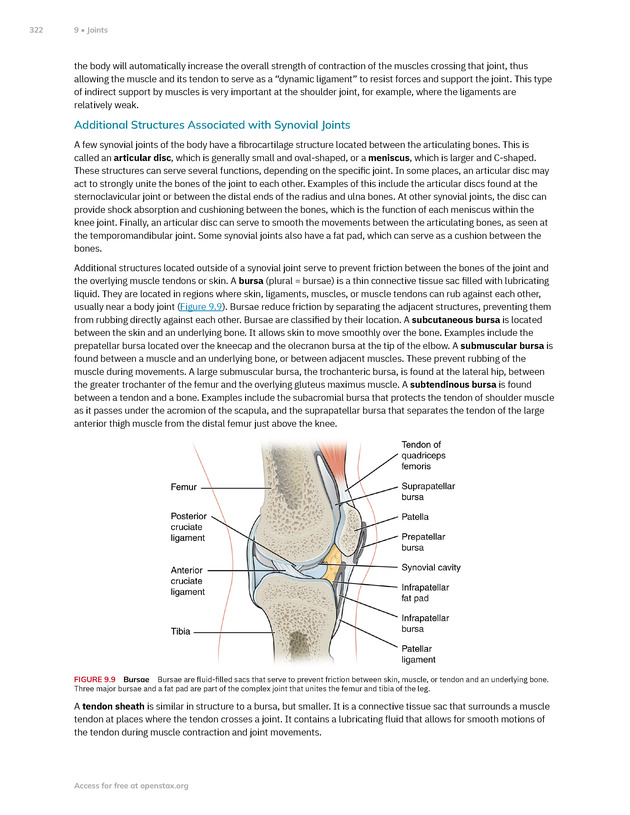 Anatomy and Physiology 2e - New Page