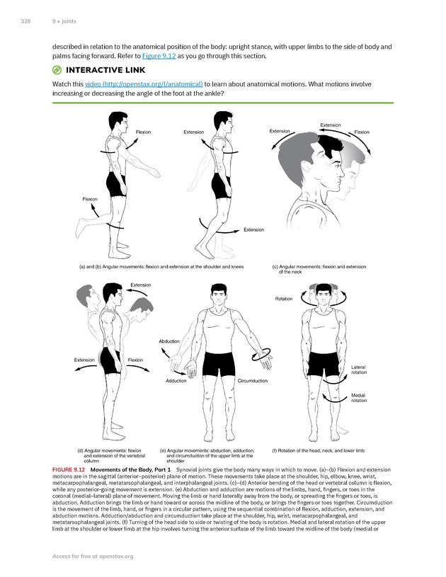 Anatomy and Physiology 2e - New Page