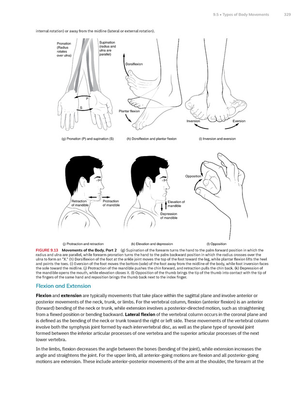 Anatomy and Physiology 2e - New Page